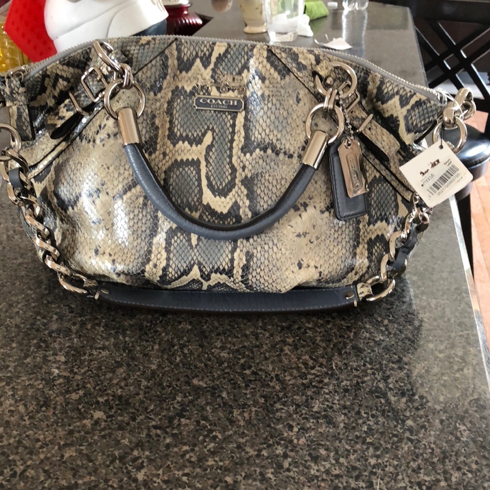 BRand New With Tag Coach Bag